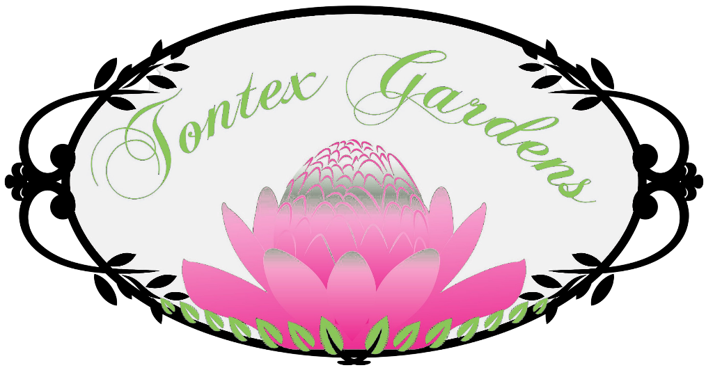 Tontex Gardens