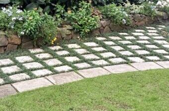 IMG_20211107_155210_401