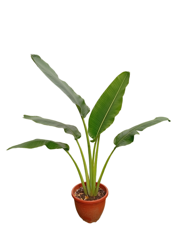 Picsart_25-09-08_01-48-01-042