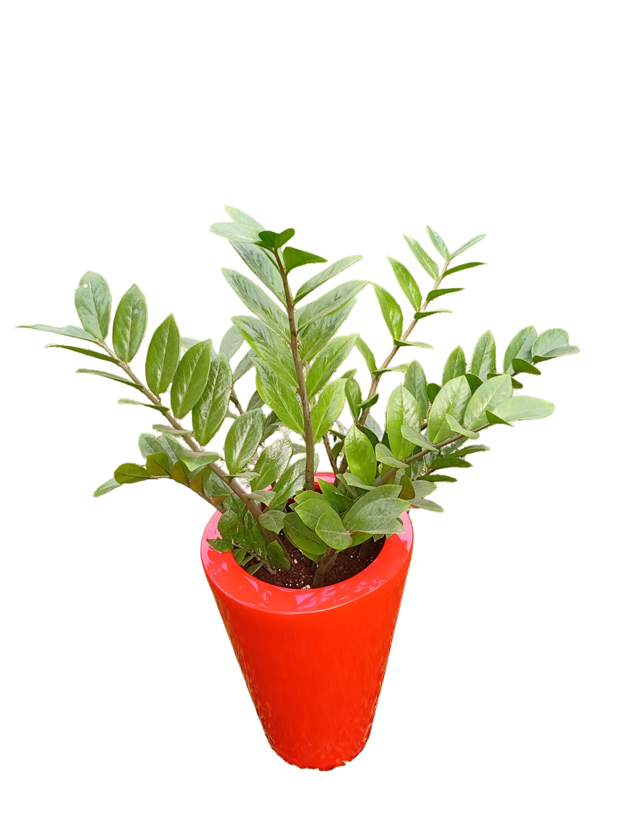 Picsart_25-09-08_10-30-33-084