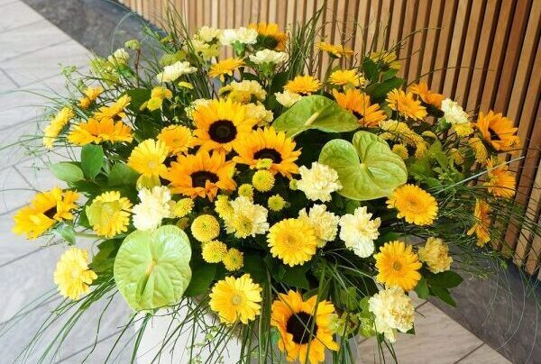 Solsikker_scene-600x600