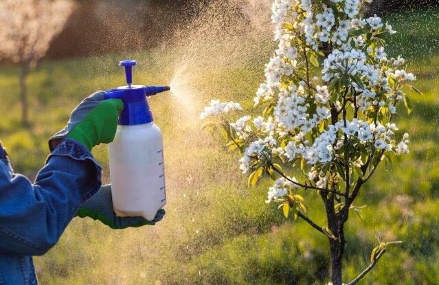 Spraying-Insecticide-to-Flowers-_-Landscape-Improvements-2