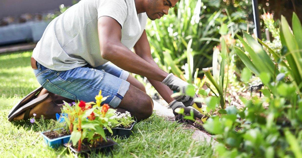 trusted_local_gardeners_gardening_service.webp.1200x630_q85_crop-smart