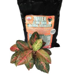Plant Food Natural Fertilizer