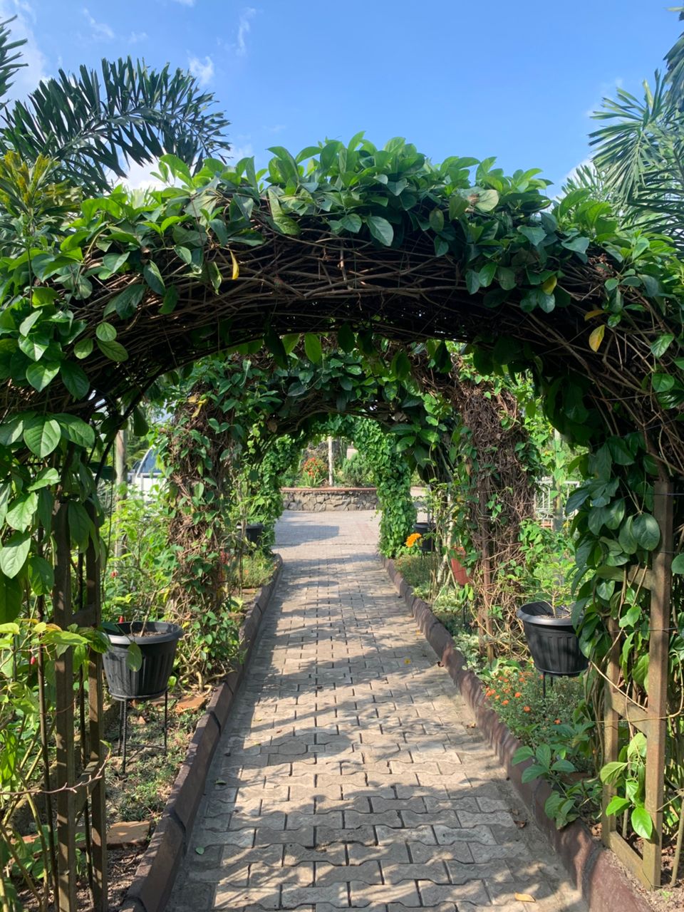 WhatsApp Image 2025-11-09 at 13.56.49_77e39525