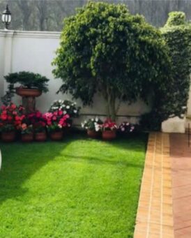 WhatsApp Image 2025-11-09 at 13.59.05_fc17f4c0