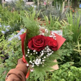 First Love (2 rose stems)