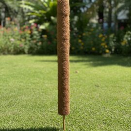 Long Coir Stick