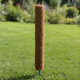 Medium length Coir Stick