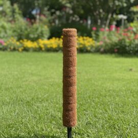 Small Coir Stick